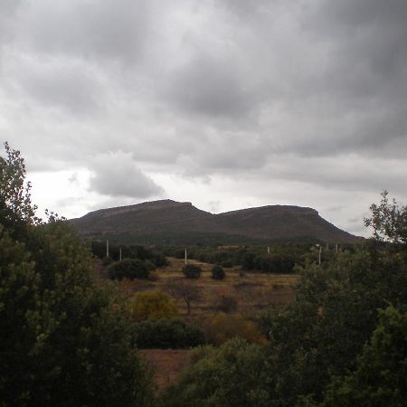 Appartamento Vivienda Turistica El Ciclamen Mora de Rubielos Esterno foto